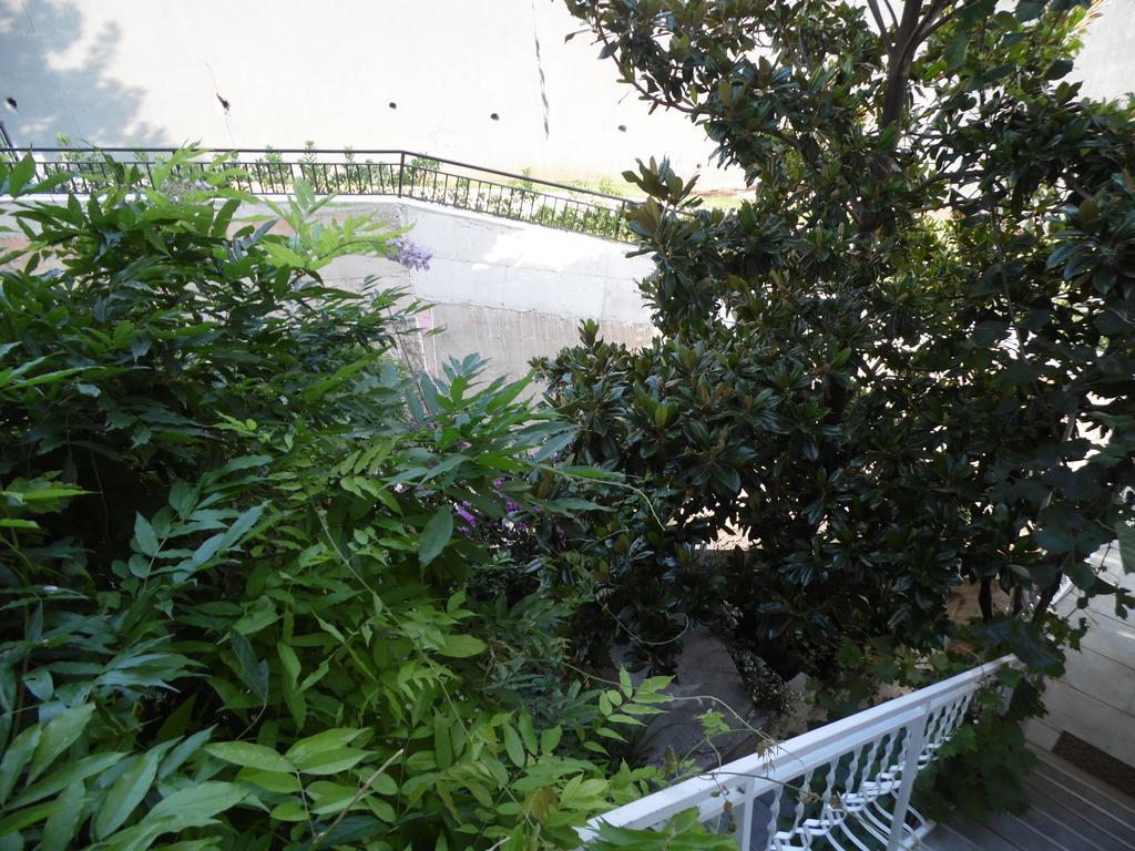Apartments Slavica Jovanovic Sveti Stefan Rom bilde